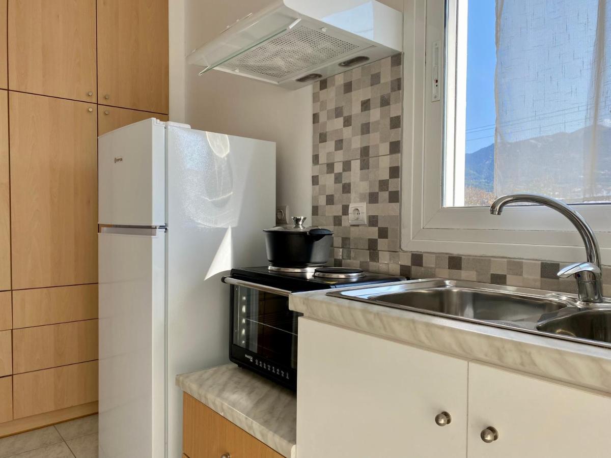 Elgreco Apartment, At Zipari, With Unique View "4" Zipárion Dış mekan fotoğraf